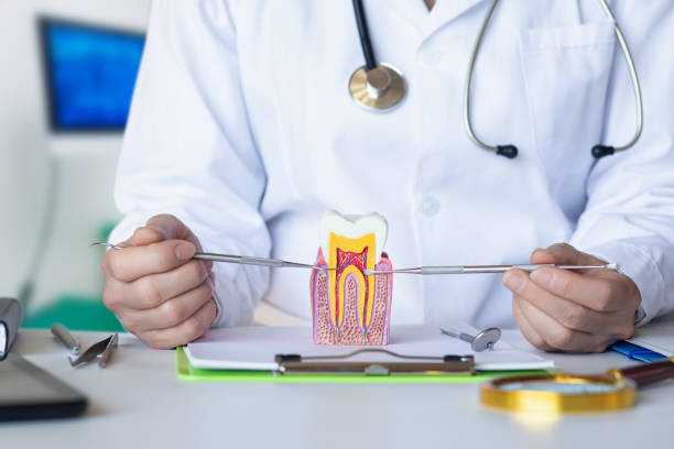Best Emergency Dentist for Lost Fillings or Crowns in Houserville, PA